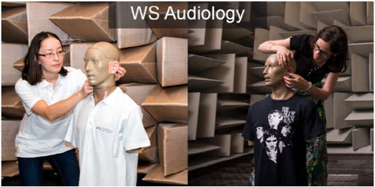 ̵ 佺  պ WS Audiology 